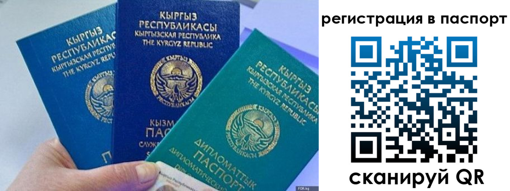 прописка 2025 в Куйбышеве